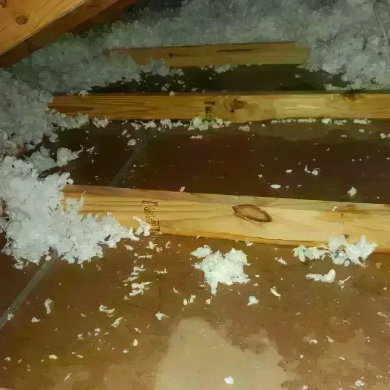 Attic Water Damage in Sutton County, TX